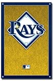 TAMPA BAY DEVIL RAYS MLB BASEBALL TEAM LOGO POSTER 4521