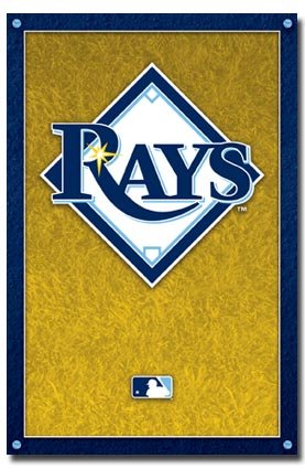 Tampa Bay Rays Logo MLB 22