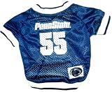 Penn State Evan Royster 2009 Authentic NIKE Jersey 56