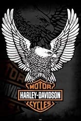 Harley Davidson Logo 24x36 Poster