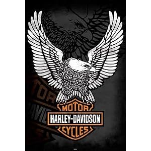 Harley Davidson (Eagle Logo) Art Poster Print - 24