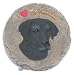 Labrador Retriever Stepping Stone
