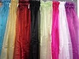 Bright Red Sheer Organza Glitter Panel 58Wx84L