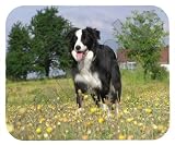 Border Collie Mouse Pad
