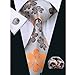 Barry.Wang Designer Mens Tie Collection, Eleagnt Gift Box Tie Clips Handkerchief Cufflink Set (Orange Silver)