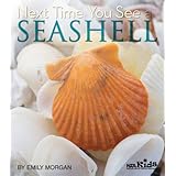 next time you see a seashell