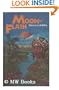 Moon-Flash