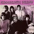 Surrealistic Pillow [Vinyl]