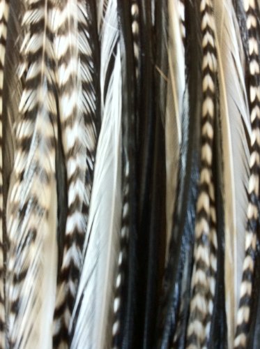 Sexy Sparkles Zebrz Feather Hair Extension with 5 Salon Quality Feathers for Hair Extension with Black & White American Rooster Feathers