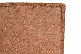 Coco Soil - tropical terrarium substrate - Expands to 2 L