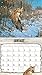 Lang 2017 Beyond The Woods Wall Calendar, 13.375 x 24 inches (17991001894)