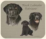 David Kiphuth Dog Breeds Black Labrador Mousepad Mouse Pad