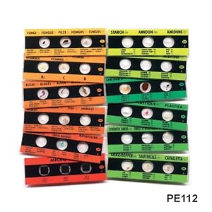 Elenco 12 Slide With 36 Assorted Specimens