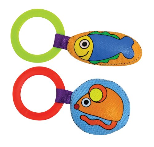 Image of Petstages Catnip Infused Ring Toy