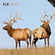 Elk 2013 Square 12X12 Wall Calendar