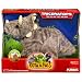 Playskool Kota and Pals Hatchling - Triceratops
