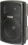 600w 12inch Plastic Cabinet Speaker