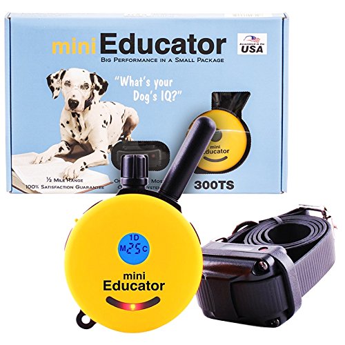 einstein mini educator