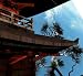 Buddhist Temple - 24