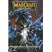 WarCraft - Le puits solaire, Tome 3 : Les terres fant�mes