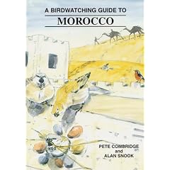 Bird Watching Guide to Morocco