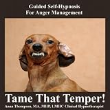 Guided Self-Hypnosis For Anger Management, Rage and Temper Control
