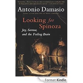 Looking for Spinoza: Joy, Sorrow, and the Feeling Brain