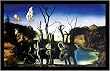 Salvador Dali - Art Poster (Size: 36'' x 24'')