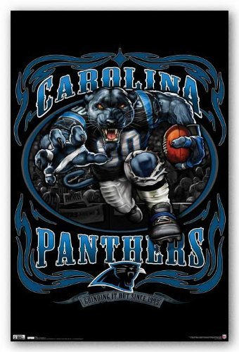 Trends Carolina Panthers Running Back Poster