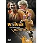 Wolverhampton Wanderers - Beating The Baggies