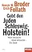 Bücher : Gebt den Juden Schleswig-Holstein!: Wenn Deutsche Israel kritisieren - ein Streit - Ein SPIEGEL-Buch