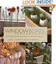 Window Boxes: Indoors & Out