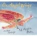 On Angel Wings