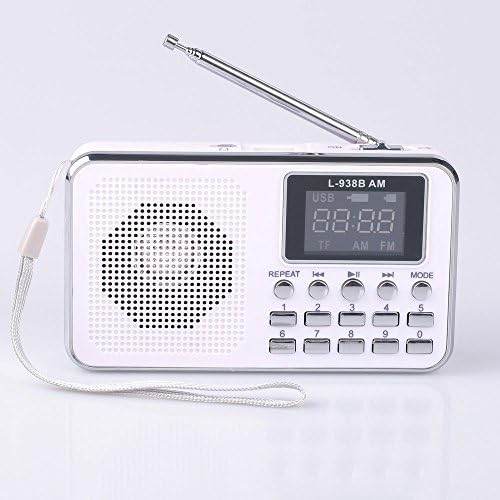 Aoonar Portable Speaker AM/FM Radio Music Player Micro SD/TF Card for PC IPod Phone