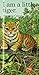 I Am a Little Tiger