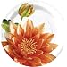 Design Design Paradise Bloom Dinner Plate, 8-Count Packages (Pack of 4)
