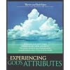 Experiencing God's Attributes: Pursuing God with Your Whole Heart, Mind, and SoulThirteen Opportunities for Discovery