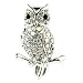 OMyGod Little Owl Brooch