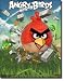 Angry Birds 3-D Video Game Poster Print