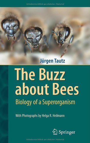 The Buzz about Bees: Biology of a Superorganism