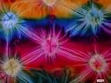 "Diamond Rainbow" Tie Dye Sarong