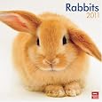 Rabbits 2011 Square 12X12 Wall Calendar (Multilingual Edition)