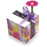 Xonex Cosmos Pen and Note Cube, Cosmos Shaped Black Ball Point Pen, Has Pink Flower designs with Printed Note Cube, 5.5 Inch, 1 Count (10726)