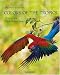 Search : Colors of the Tropics: Eden on the Equator