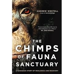 Chimps Of Fauna Sanctuary