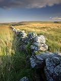 Dry Stone Wall and Moorland Grassland, Late Evening Light, Dartmoor Np, Devon, Uk. September 2008 Premium Poster Print by Ross Hoddinott, 24x32
