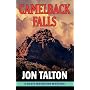 Camelback Falls (David Mapstone Mysteries)