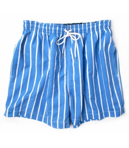 BlessTheSummer Blue Stripe Men's Swim Trunks 