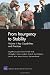 From Insurgency to Stability: Key Capabilities and Practices