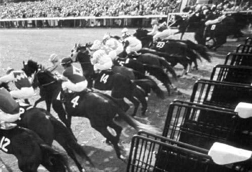 Kentucky Derby Poster, Opening Gates, Horse Racing, The Ponies, Start the Race